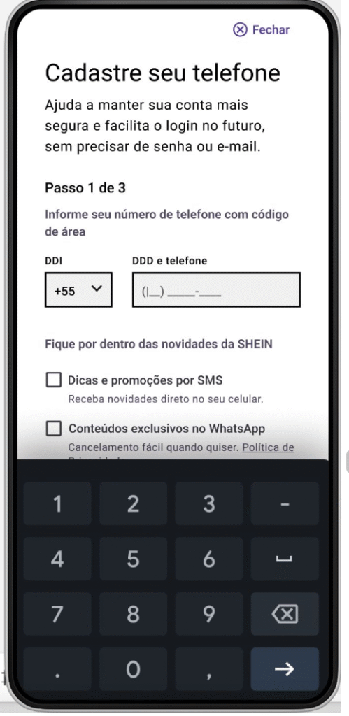 Print de input numérico com foco em acessibilidade.